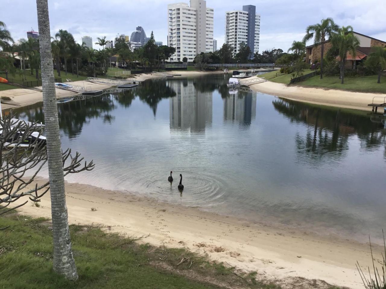 Plumosa On The Water Hotel Gold Coast Exterior photo